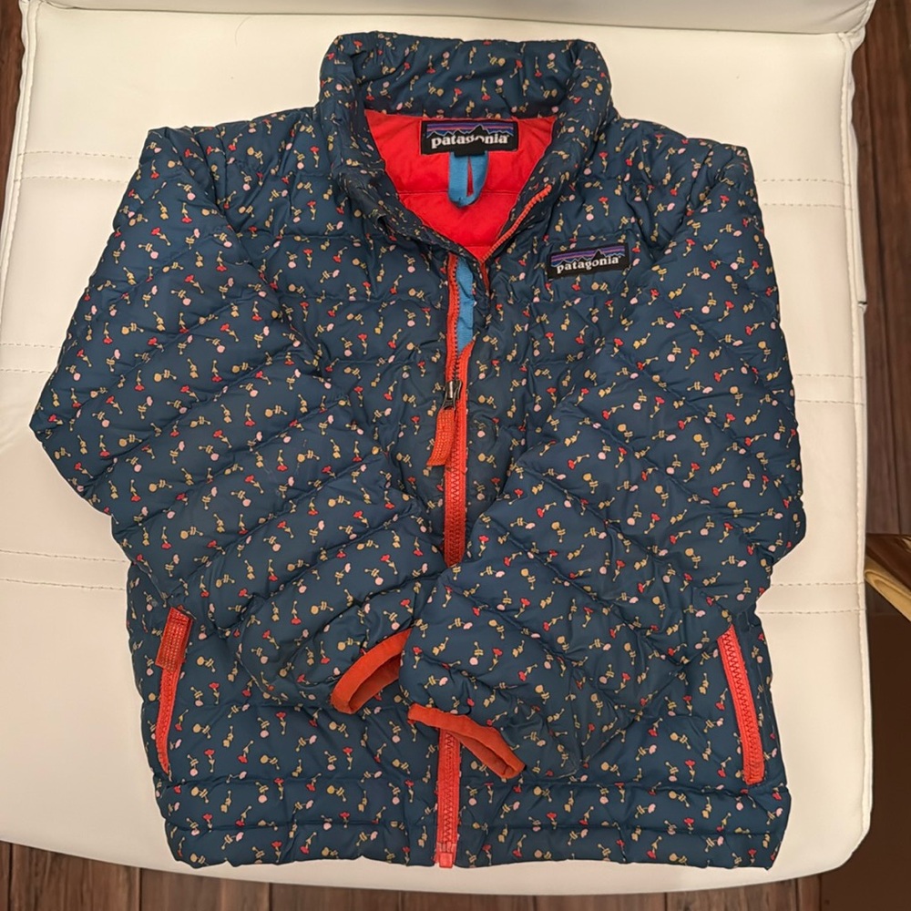 Patagonia jacket